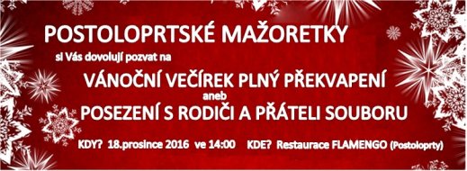 Pozvánka Vánoční večírek 2016